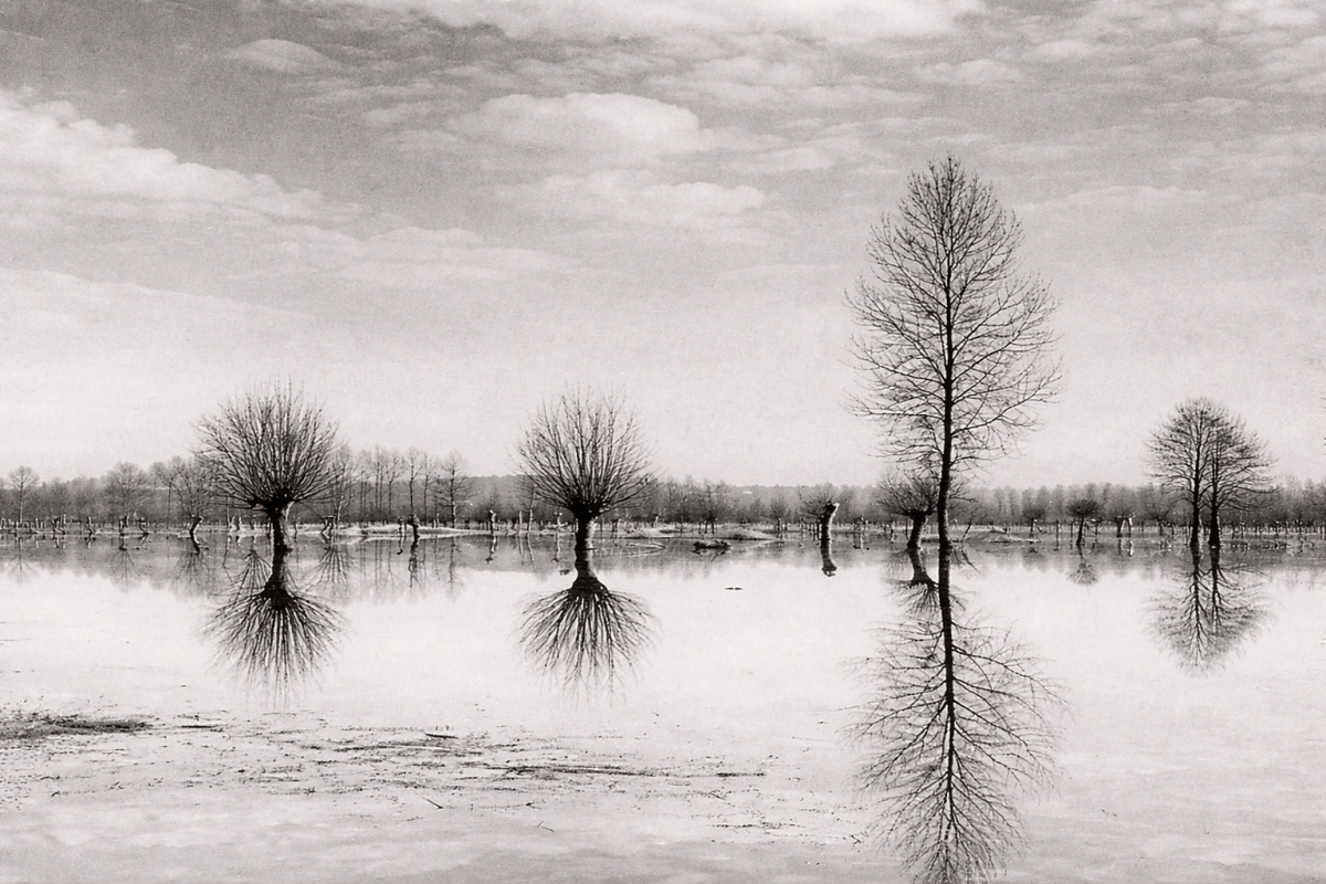 RESEÑA DE “EL VELO NEGRO” DE ANNY DUPEREY / Julieta Lopérgolo