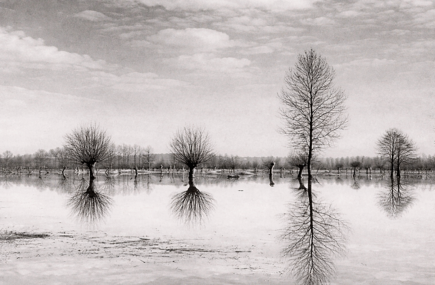 RESEÑA DE “EL VELO NEGRO” DE ANNY DUPEREY / Julieta Lopérgolo